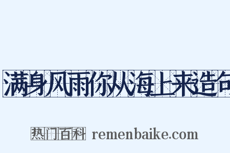 满身风雨你从海上来造句是什么意思的图片